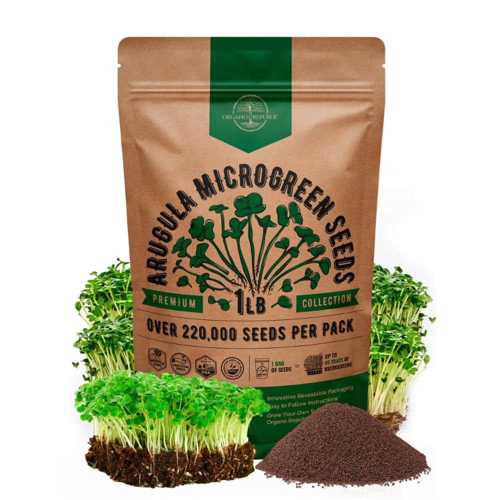 Arugula Sprouting & Microgreens Seeds - Non GMO Heirloom Seeds, Sprouts in Bulk 1lb Resealable Bag price history on PriceWatchPro