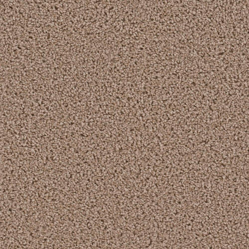8 in. x  8 in. Texture Carpet Sample - Happy Chance -Color Mellow price history on PriceWatchPro