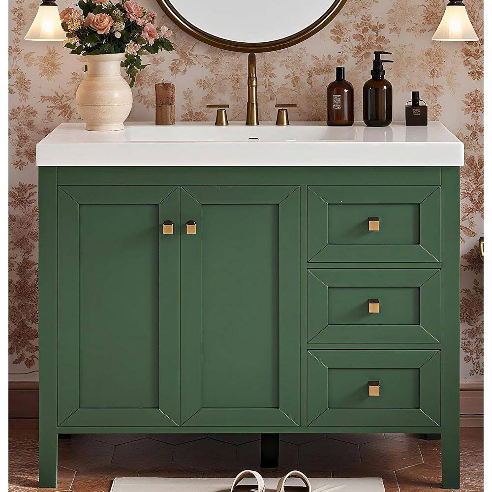 42 in. Bath Vanity Cabinet without Top in Green Unassembled with 3-Right Drawers 2-Left Door Soft Closing Floor Cabinet price history on PriceWatchPro