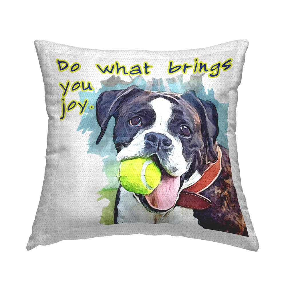 Do What Brings You Joy Dog Multi-Color Square Outdoor Throw Pillow price history on PriceWatchPro