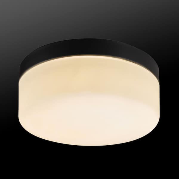 Mark 1-Light Black LED Outdoor/Indoor Integrated Flush Mount Ceiling Light with Frosted Glass Shade