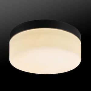 Mark 1-Light Black LED Outdoor/Indoor Integrated Flush Mount Ceiling Light with Frosted Glass Shade