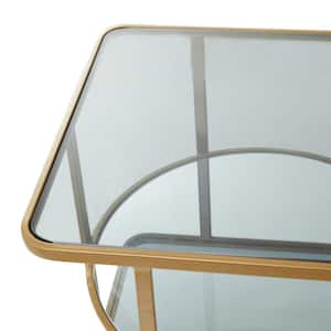 36 in. Gold Medium Rectangle Metal 1 Shelf Coffee Table with Mirrored Glass Top