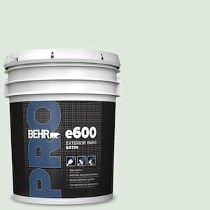 5 gal. #460E-1 Meadow Light Satin Exterior Paint