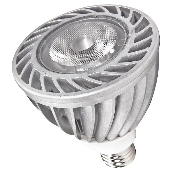 Generation Lighting 15W Equivalent Soft White (3000K) PAR30L LED Flood Light Bulb (E)*