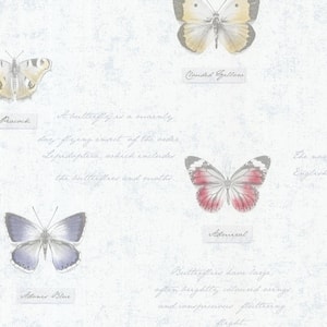 Admiral Blue Butterflies And Script Blue Wallpaper Sample