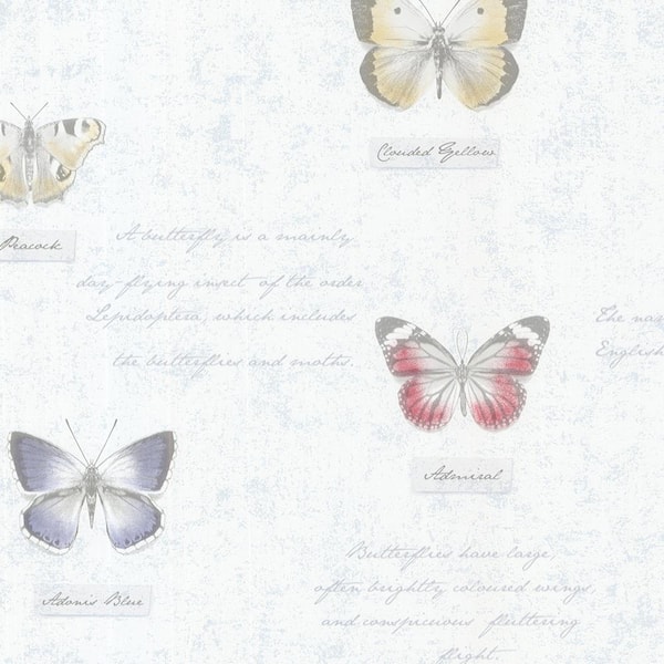 Brewster Admiral Blue Butterflies And Script Blue Wallpaper Sample
