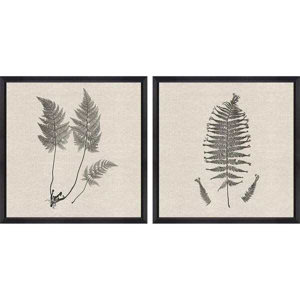 Paragon Modern Ferns Modern Ferns I by Langdon 2-Piece Framed Travel Poster 26 in. x 26 in.