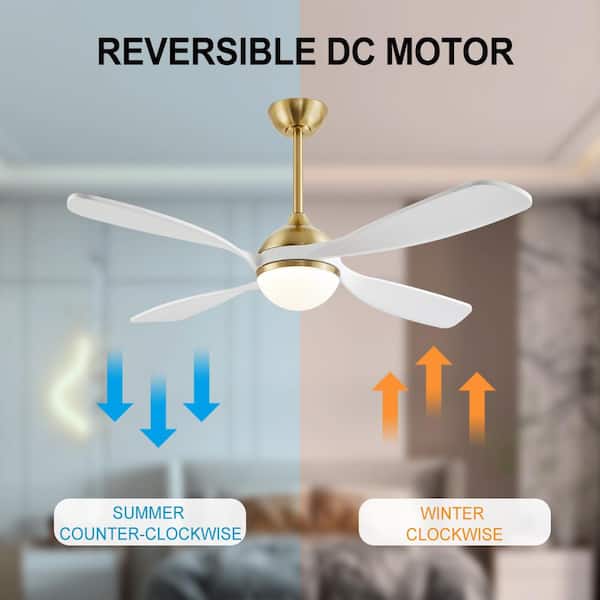 MLiAN 54 in. White And Gold 4-Blade Smart Standard Indoor Ceiling