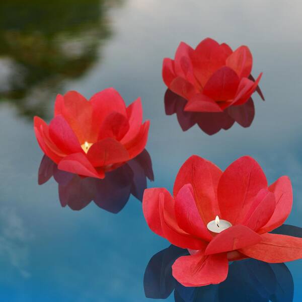 lotus floating lanterns