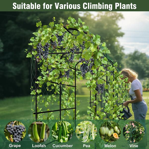 AESOME 86 in. Extra Tall Metal Garden Arch Trellises, Cucumber