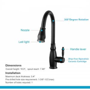 Single-Handle Pull-Out Sprayer Kitchen Faucet in Matte Black