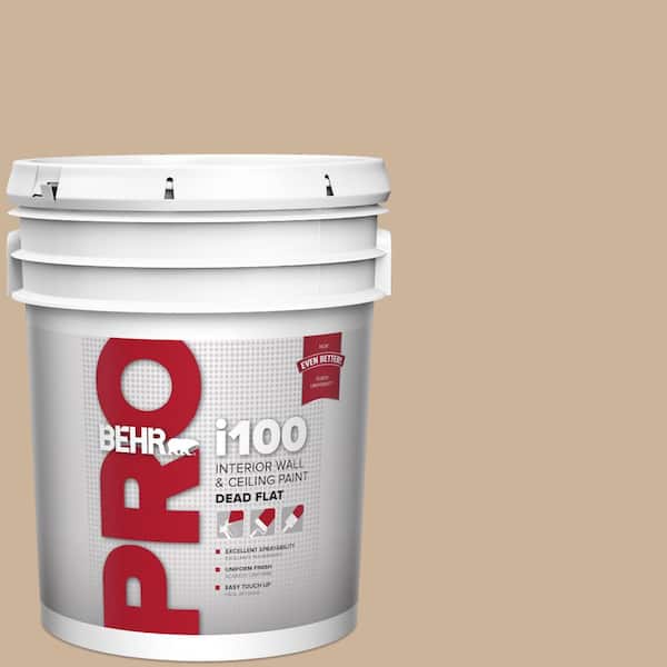 5 gal. #T17-03 Sepia Filter Dead Flat Interior Paint