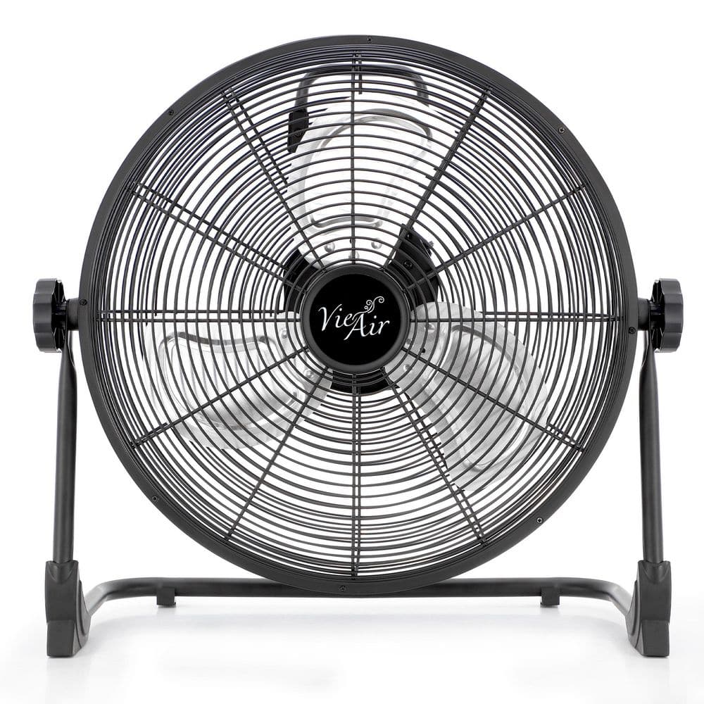 Vie Beauty Fan Black The Convergence of Wellness Tech and Black Beauty
