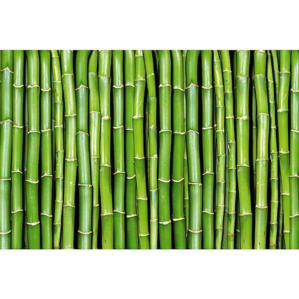 Farmhouse Bamboo Farm and Country Wall Mural