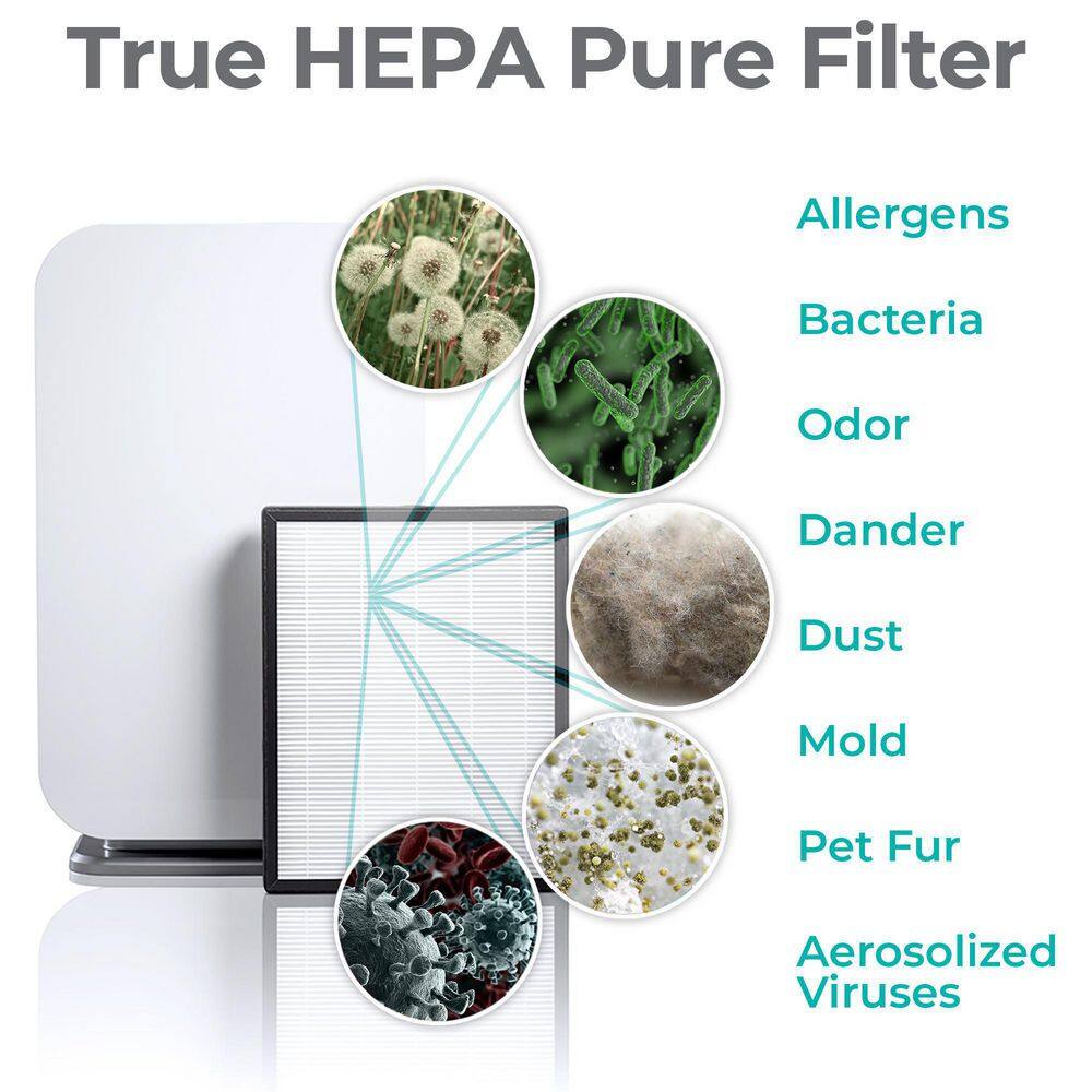 Brushed Stainless 800 SqFt HEPA Air Purifier with Wi-Fi