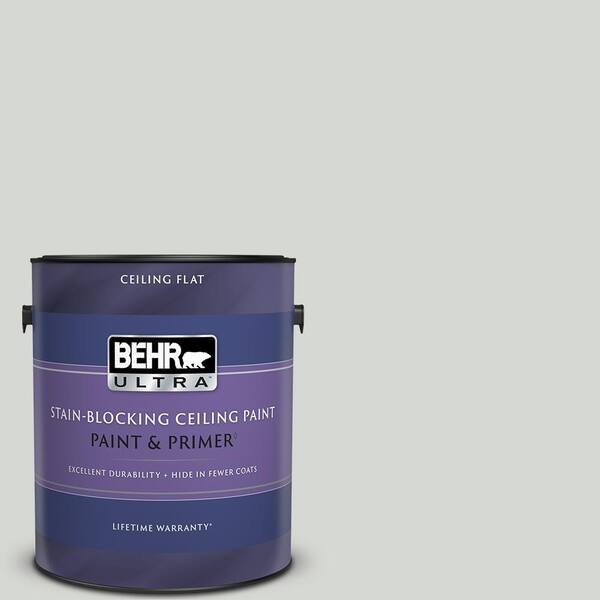 https://images.thdstatic.com/productImages/b0e69bf3-c155-4c80-882f-3b51acfd73f3/svn/misty-coast-behr-ultra-paint-colors-555801-64_600.jpg