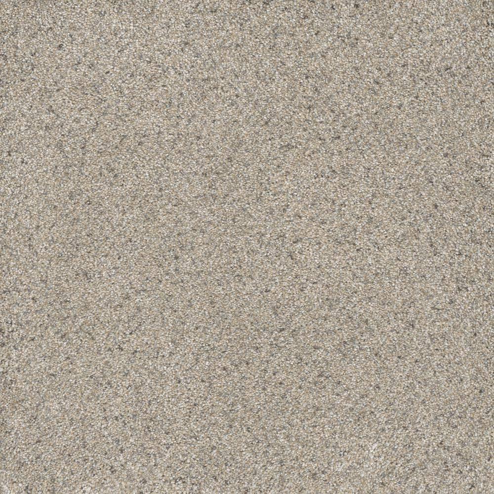 Home Decorators Collection Brightstone II Color Star 12 ft. Texture
