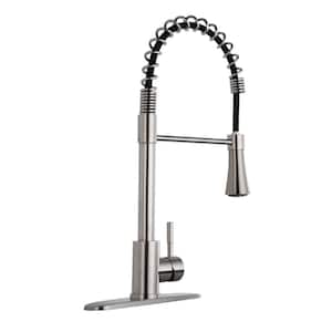 DD Single Handle Standard Kitchen Faucet in Brushed Nickel