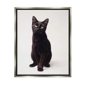 Cute Black Cat Expressive Eyes Pet Portrait by Marika Moffit Floater Frame Animal Wall Art Print 25 in. x 31 in.