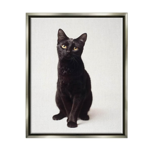 The Stupell Home Decor Collection Cute Black Cat Expressive Eyes Pet Portrait by Marika Moffit Floater Frame Animal Wall Art Print 25 in. x 31 in.