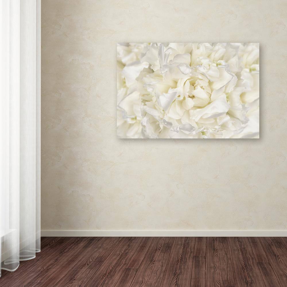 White Peony Flower Abstract Canvas Art in Frame