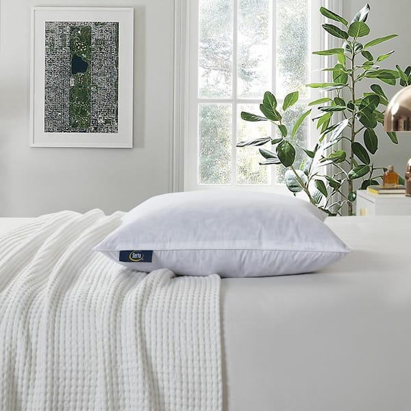 Pillow Insert Set for Queen Bed-accent Pillow Inserts-down Pillow
