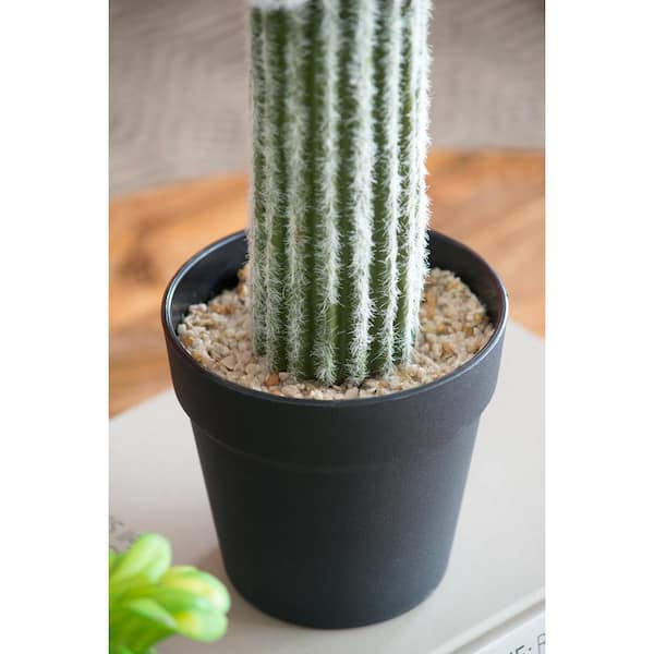 Racxily 25 in. Indoor Artificial Saguaro Cactus in Black Pot YDQ