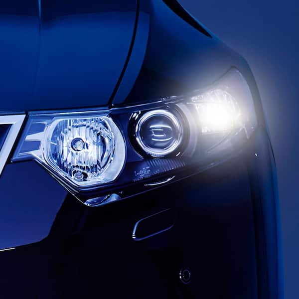  Philips Automotive Lighting 168WLED Ultinon LED Bulb (White), 2  Count (Pack of 1) : Automotive