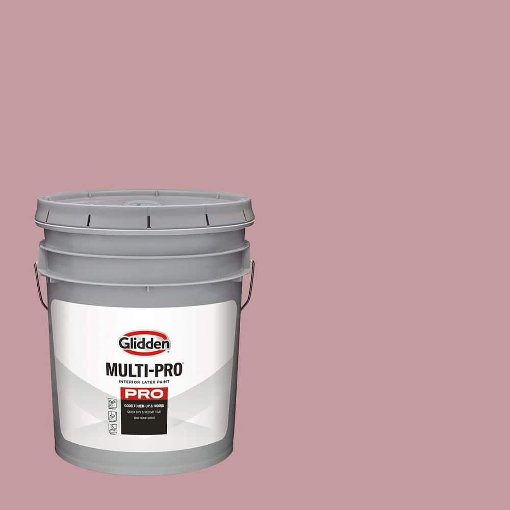 5 gal. PPG18-06 Mexicali Rose Eggshell Interior Paint price history on PriceWatchPro