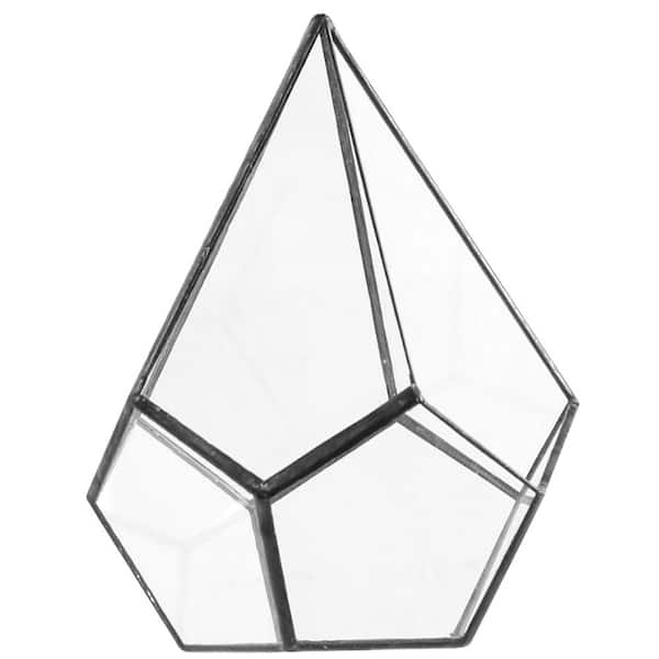 Arcadia Garden Products Geometric 5 in. x 8 in. Glass Cone Terrarium
