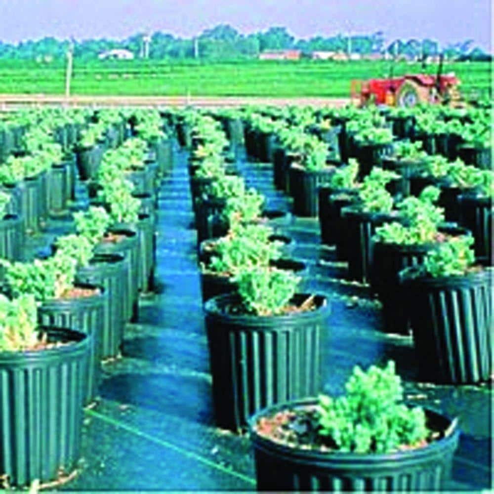 Black Polypropylene Commercial Landscaping Ground Cover, 3' x 100'