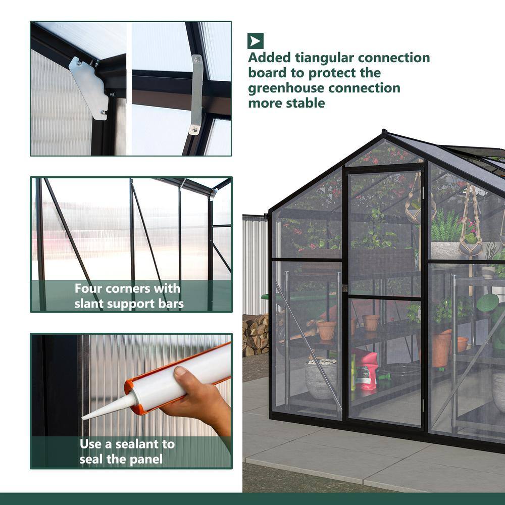 Black Aluminum Frame Walk-In Greenhouse with Polycarbonate Panels, 6' x 10'