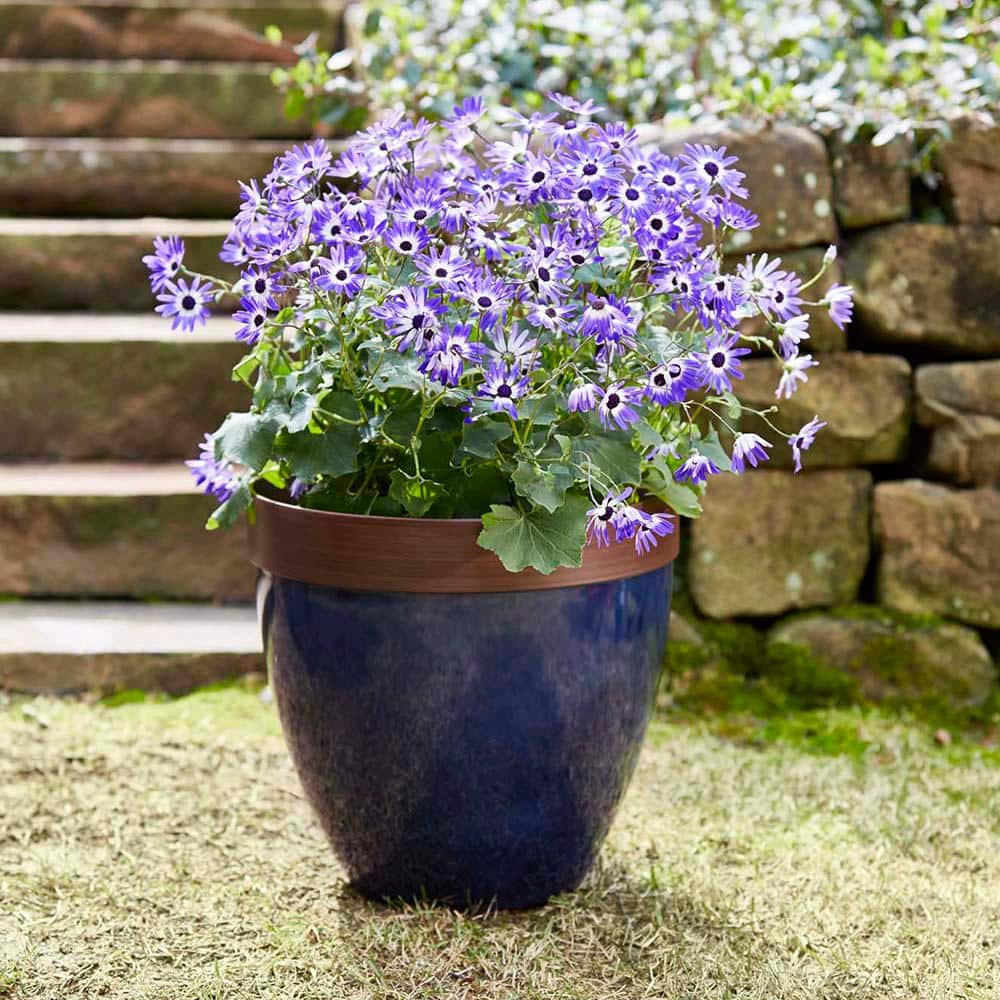 Navy Blue High-Density Resin Outdoor Planter with Drainage Hole