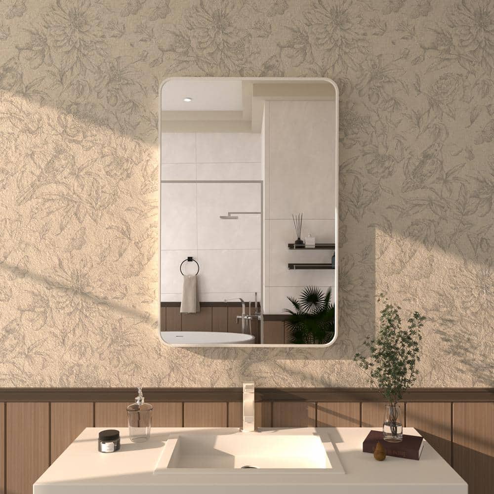 Zyphi 24 in. W x 36 in. H Rectangular Framed Wall Bathroom Vanity Mirror in Brushed Nickel price history on PriceWatchPro