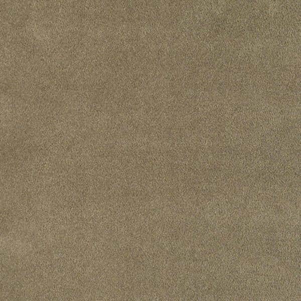Taupe 5' x 8' Stain-Resistant Synthetic Shag Rug