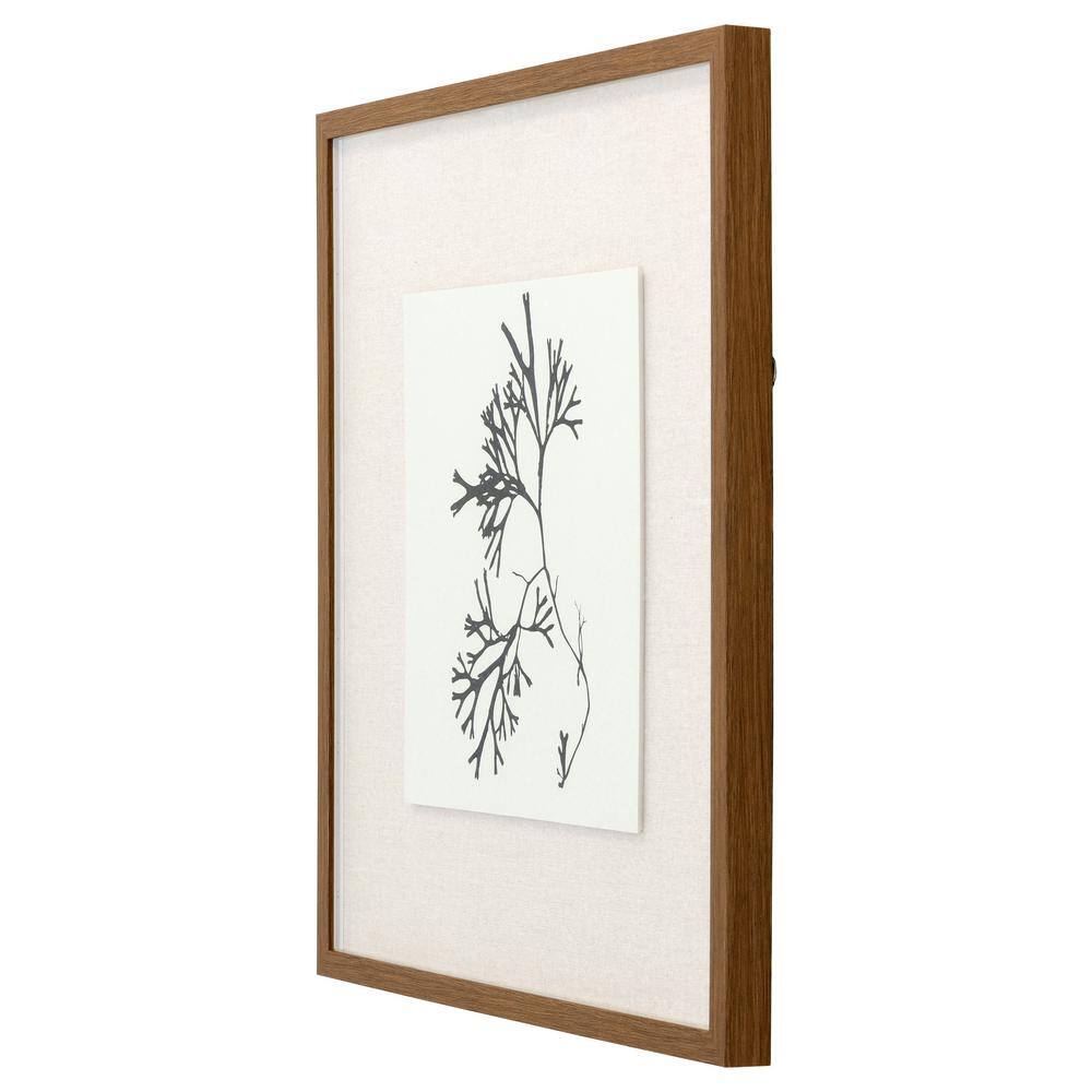Natural Abstract Black and White Canvas Print with Wooden Frame