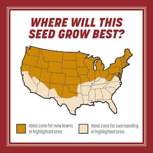 Smart Seed 3 lbs. Perennial Ryegrass Grass Seed Blend