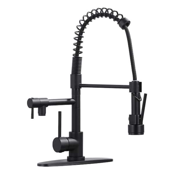 ALEASHA Single Handle 2-Spout Spring Pull Down Sprayer Kitchen Faucet with Lock in Matte Black