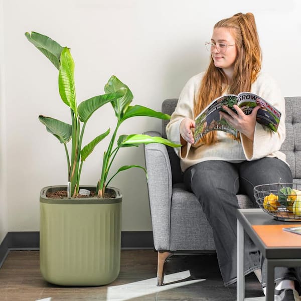 EZ Self-Watering Home Planter, Sage Green / 1 Pack