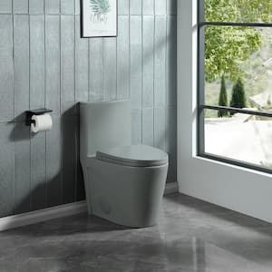 One-Piece 1.1/1.6 GPF Dual Flush Elongated Toilet in Light Gray with Soft-Close Seat