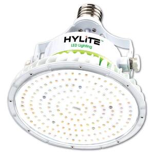 100W Lotus LED Lamp 400W HID Equivalent 3000K 14000 Lumens Ballast Bypass 120-277V E39 Base IP 65 UL&DLC Listed