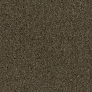 Ramble On - Maverick - Brown 20 oz. SD Polyester Loop Installed Carpet