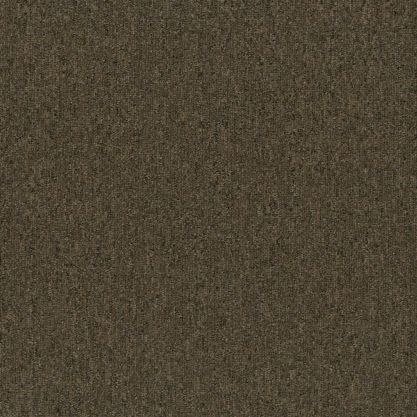 TrafficMaster Ramble On - Maverick - Brown 20 oz. SD Polyester Loop Installed Carpet