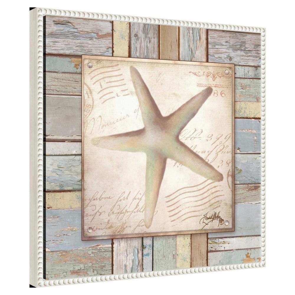 Beach Shell IV Coastal Canvas Art with White Floater Frame