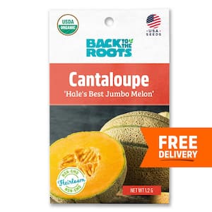 Organic Hale's Best Jumbo Melon Cantaloupe Seed (1-Pack)