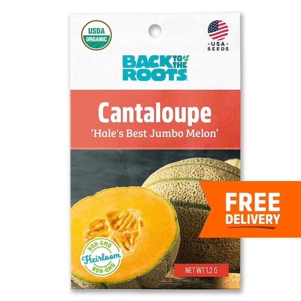 Back to the Roots Organic Hale's Best Jumbo Melon Cantaloupe Seed (1-Pack)