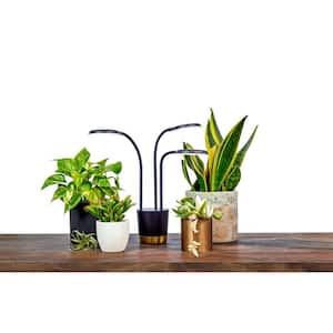 Trio Grow Light for Indoor Plants to Allow Live Plants to Grow Anywhere in the Home, Black