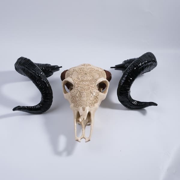 8.66 x 15.59 in. Bone-Inspired Bull Head Hanging Ornament-Resin Craft, Lifelike Details, North American Style