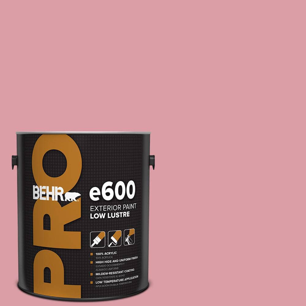 1 gal. #110C-3 Glamour Low Luster Exterior Paint price history on PriceWatchPro